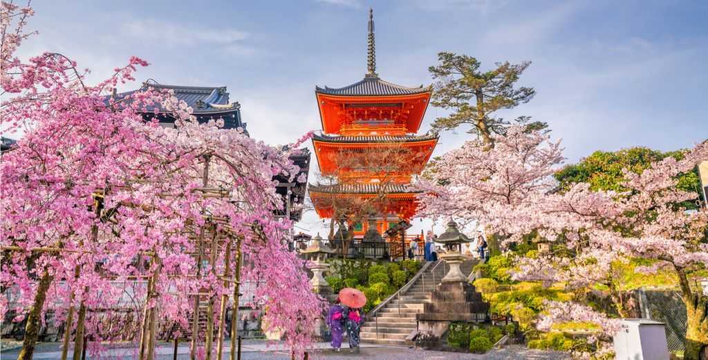 Splendours of Japan 3* or 4*