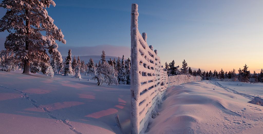 Christmas in Lapland