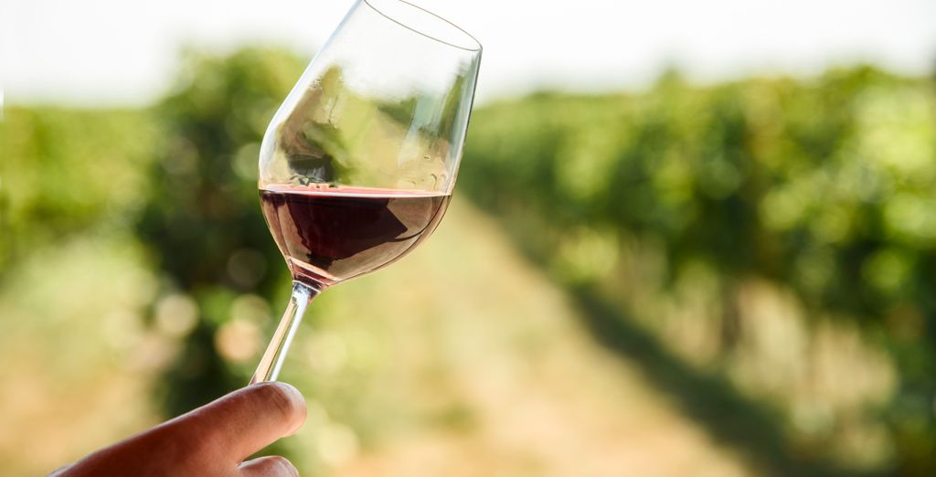 Dégustation de vin dans le vignoble de Santorin, autour de Pyrgos