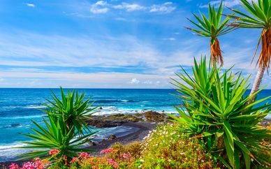 Coral Ocean View 4* - Solo Adultos