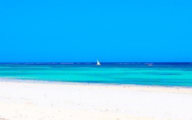 Diani Reef Beach Resort & Spa 5*