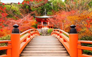 Descubrimiento de Japón