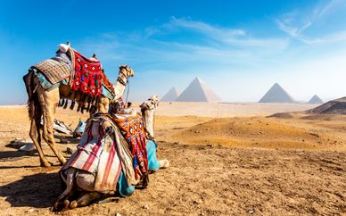 Descubre Egipto con Hotel Marriott 5*