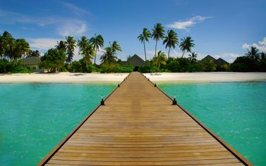 Canareef Resort Maldives 4*