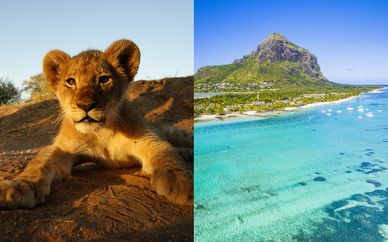 Aventura en Sudáfrica y estancia en Radisson Blu Azuri 4*