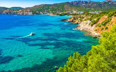 Hôtel Occidental Cala Viñas 4*