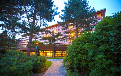 Disney's Sequoia Lodge®