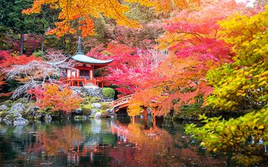 Combiné 4* à Tokyo et Kyoto et séjour possible à Abu Dhabi avec Etihad