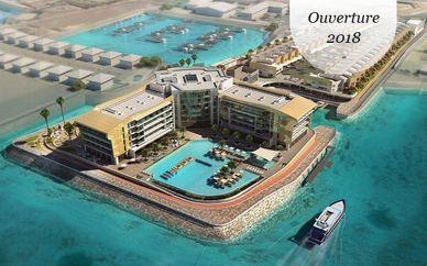 Royal M Hotel & Resort Abu Dhabi 5*