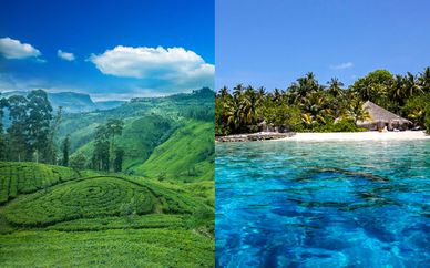 Découverte du Sri Lanka et extension 5* aux Maldives