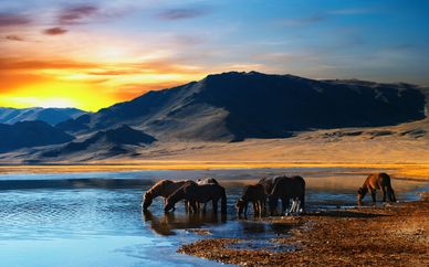 Circuit Mongolie Authentique en 12 jours / 10 nuits