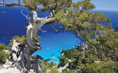 Arbatax Park Resort 4*