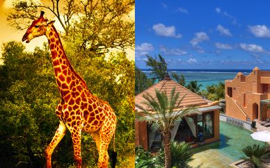Combiné Luxe en Lodge Safari en Afrique du Sud et séjour balnéaire à l’île Maurice