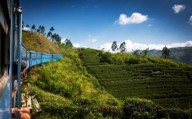 Circuit privatif Découverte du Sri Lanka en 8 ou 10 nuits