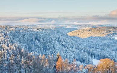 Naturhotel Gut Lilienfein 4*