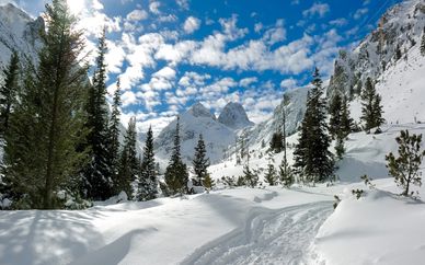 Résidence Les Matins du Sancy