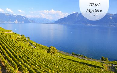 Hôtel Mystère 4* Evian-les-Bains