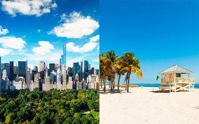 The Manhattan Club NYC 4* + The Confidante Miami Beach 4*