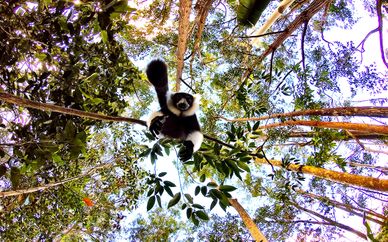 Madagascar: alla scoperta delle bellezze naturali dell'isola