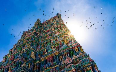 Tour India del Sud