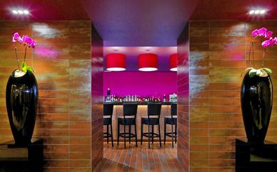 Hotel Sheraton Prague Charles Square 5*