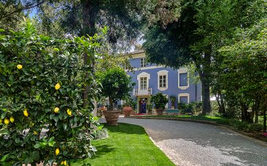 Resort dei Limoni 5*