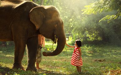Tour dello Sri Lanka e estensione mare a Waskaduwa