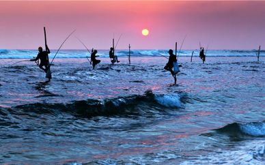 Tour privato dello Sri Lanka