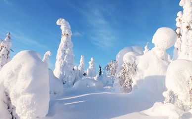 Salla e le meraviglie della Lapponia