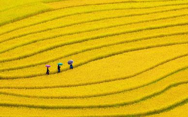 Tour Cambogia & Vietnam con estensione a Sapa
