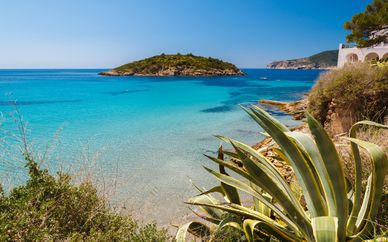 Viva Zafiro Palmanova & SPA 5*