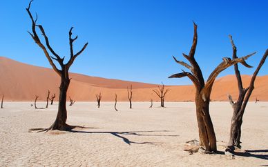 Fly& drive alla scoperta della Namibia