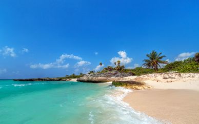 Occidental at Xcaret Destination 5* & circuito Yucatan