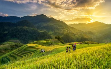 Natura e tradizioni del Vietnam
