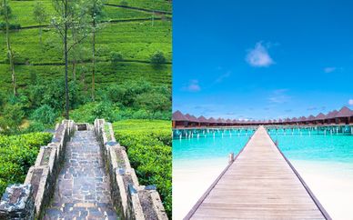 Tour Sri Lanka + Paradise Island Beach Resort & Spa 5*