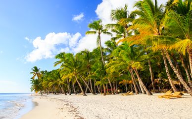Iberostar Punta Cana 5*