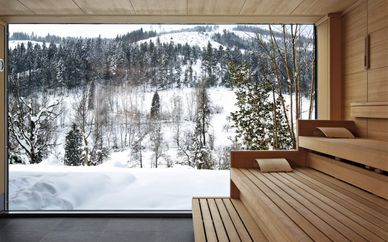Hotel Traube Tonbach 5*