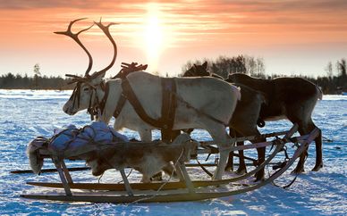 Hotel Santa Claus with Exciting Winter Excursions 4*