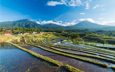Simply Bali Private Tour 4* & 5*