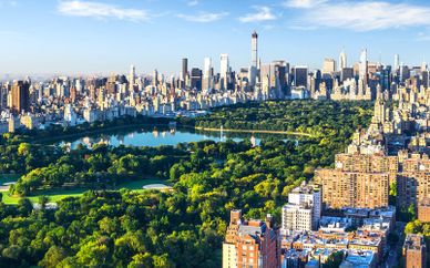 The Manhattan Club 4*