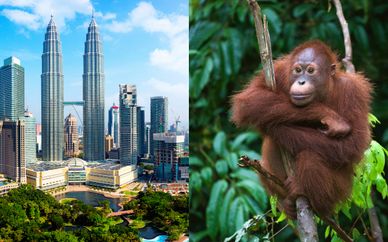 Malaysia Escapade with Optional Langawi Extension
