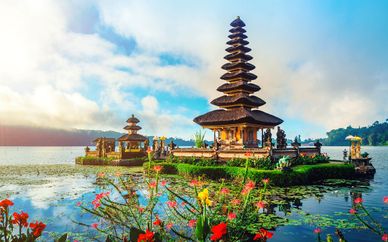 Alaya Resort + Menjangan Dynasty Resort + Melia Bali