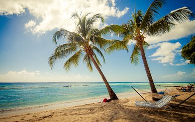 Sugar Bay Barbados 4*