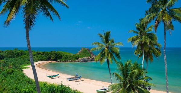 Circuito Privado por Sri Lanka + Shinagawa Beach Hotel 5*