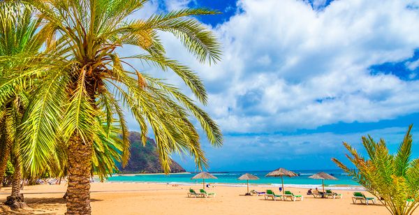 Hotel Tropical Park 4*