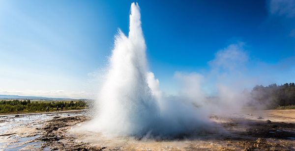 Icelandair Hotel Reykjavik Natura 4*
