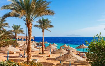 Gravity Hotel & Aqua Park Hurghada 5*