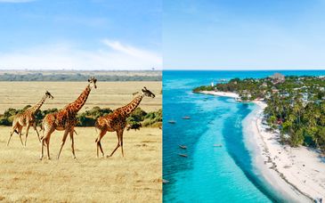 Safari van 3 tot 7 nachten + Fruit & Spice Wellness Resort Zanzibar 5*