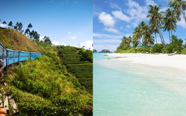 Rondreis van 5 of 7 nachten door Sri Lanka + Brennia Kottefaru Maldives 5*