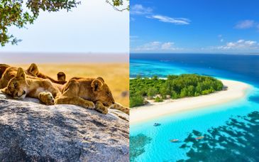 Privésafari van 4 tot 6 nachten + White Paradise Zanzibar 4*